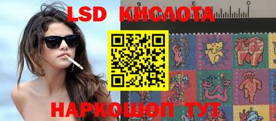 МДПВ Донецк